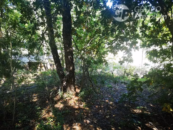 Parcela en venta en Pinto