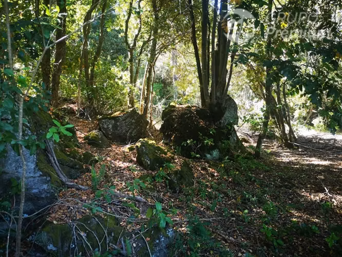 Parcela en venta en Pinto