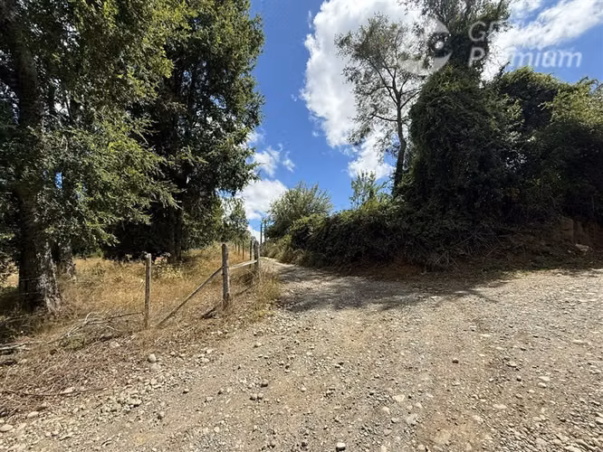 Parcela 5.000 m con casa equipada y estero Loncoche