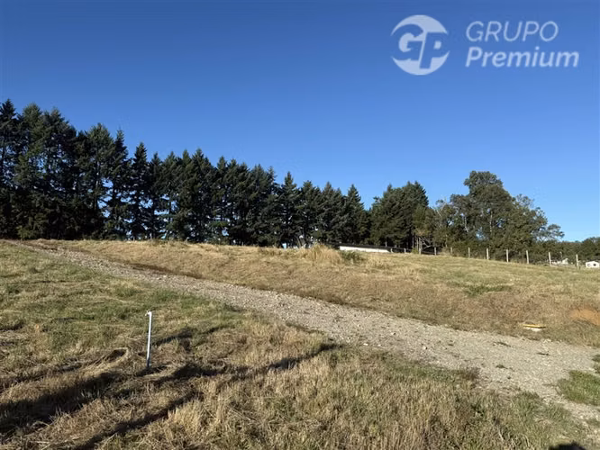 Venta-Parcela-Villarrica-Sector-Reserva de Chaillaco