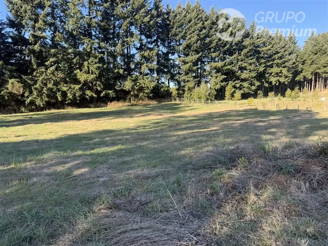 Venta-Parcela-Villarrica-Sector-Reserva de Chaillaco