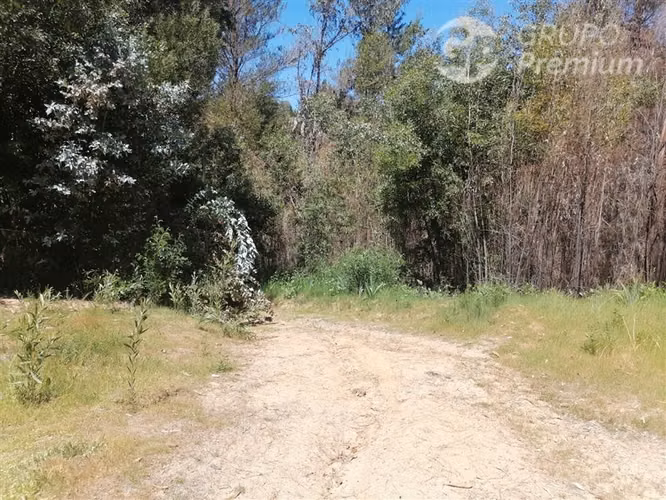 Terreno Agrícola en venta en Santa Juana