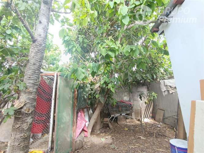 Vive en Compañía Alta Casa Sólida y Espaciosa - Imagen 19