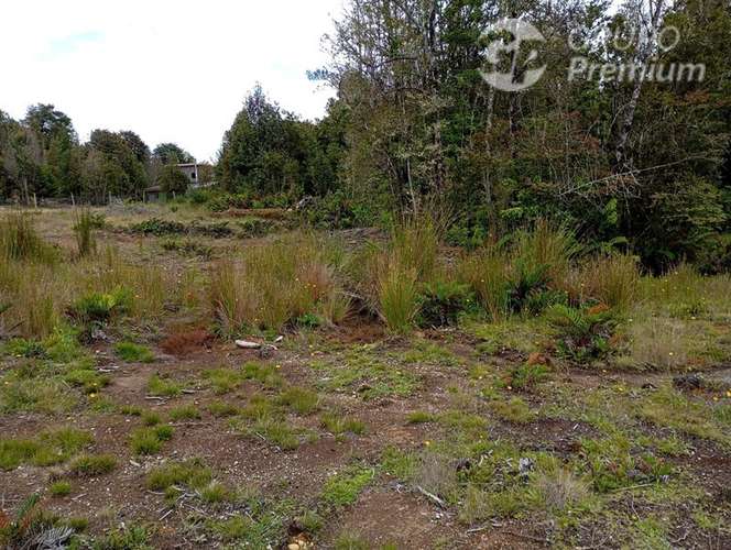 Parcela en venta en Puerto Montt - Imagen 5