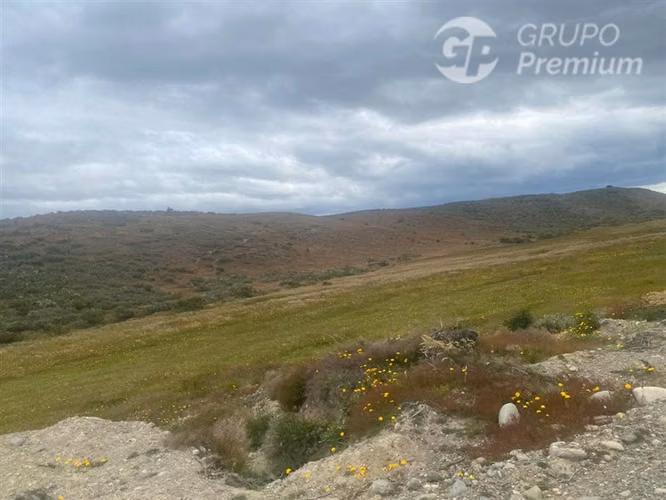 Parcela en venta en Punta Arenas en Ruta Y 530 Sector Norte