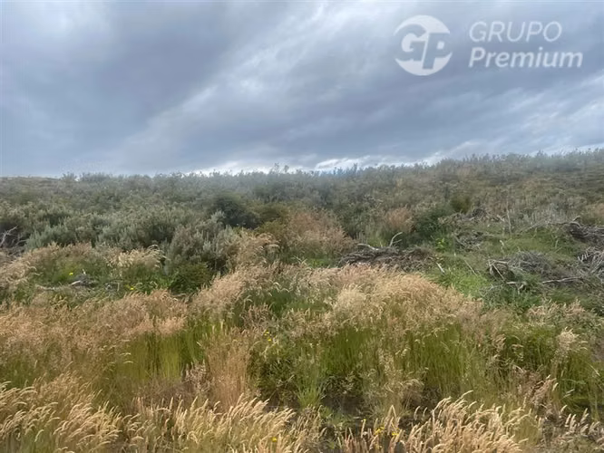 Parcela en venta en Punta Arenas en Ruta Y 530 Sector Norte