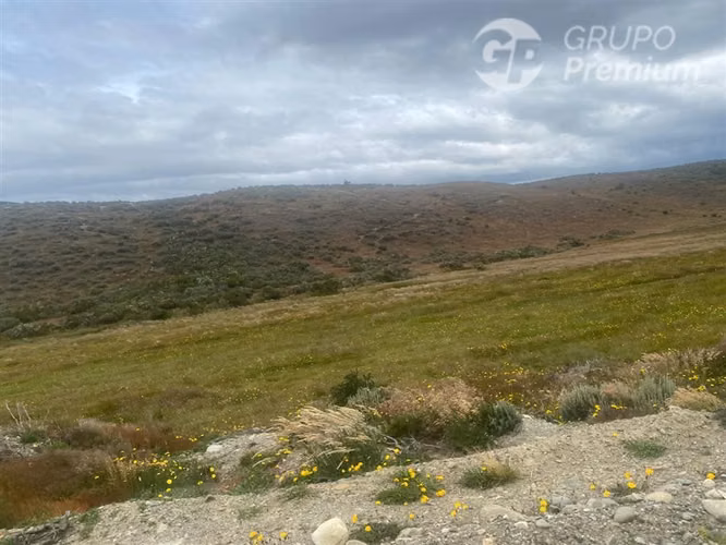 Parcela en venta en Punta Arenas en Ruta Y 530 Sector Norte