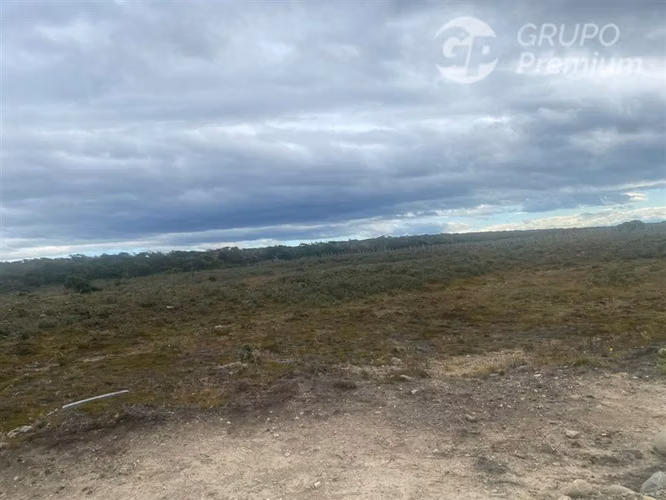 Parcela en venta en Punta Arenas en Ruta Y 530 Sector Norte