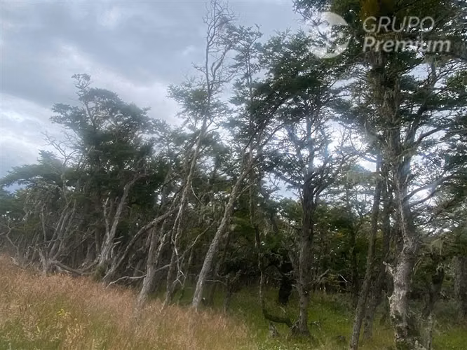Parcela en venta en sector norte de Punta Arenas