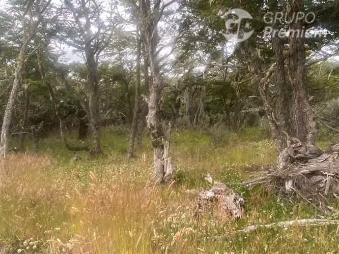 Parcela en venta en sector norte de Punta Arenas