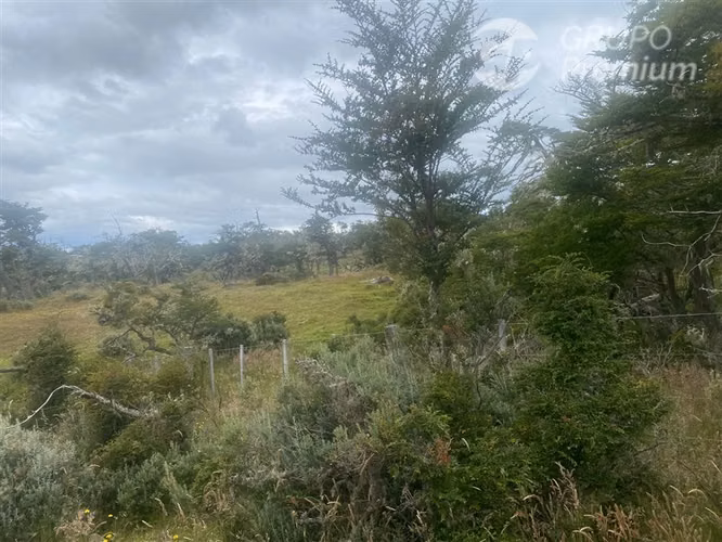 Parcela en venta en sector norte de Punta Arenas