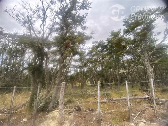 Parcela en venta en sector norte de Punta Arenas
