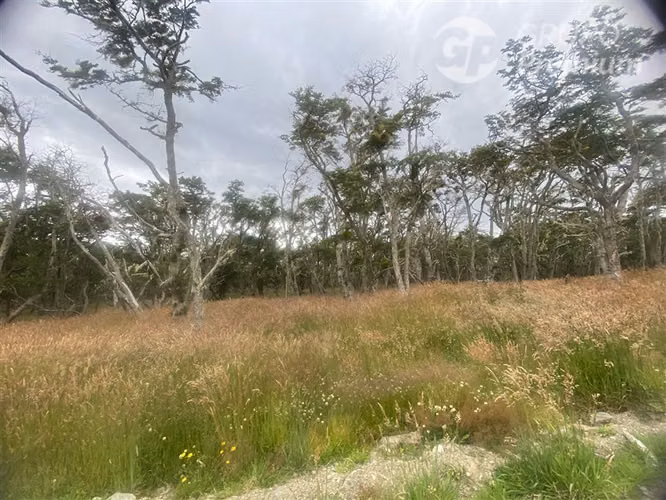 Parcela en venta en sector norte de Punta Arenas