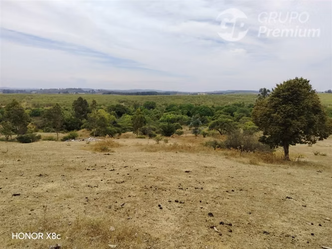 HERMOSA PARCELA EN LITUECHE 6 HECTÁREAS