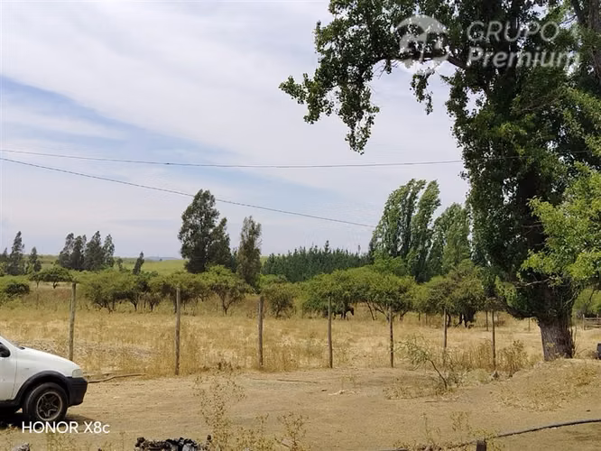 HERMOSA PARCELA EN LITUECHE 6 HECTÁREAS