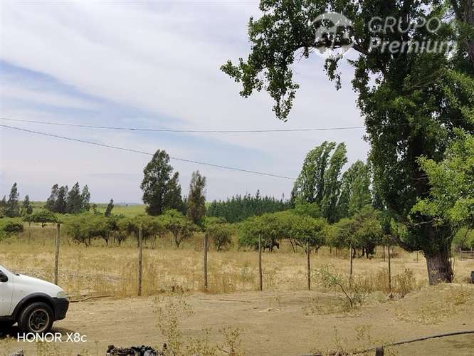 HERMOSA PARCELA EN LITUECHE 6 HECTÁREAS