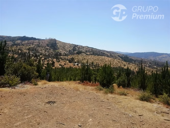 Oportunidad!!! Parcelas en venta Valle Pichaman, San Javier. - Imagen 10
