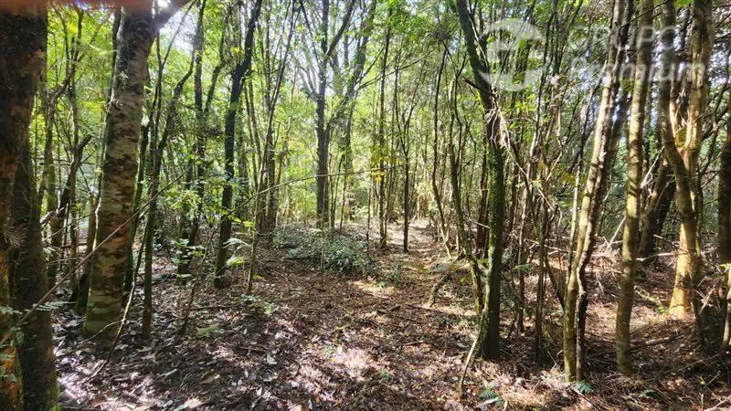 Construye la casa de tus sueños en Parcela en Venta