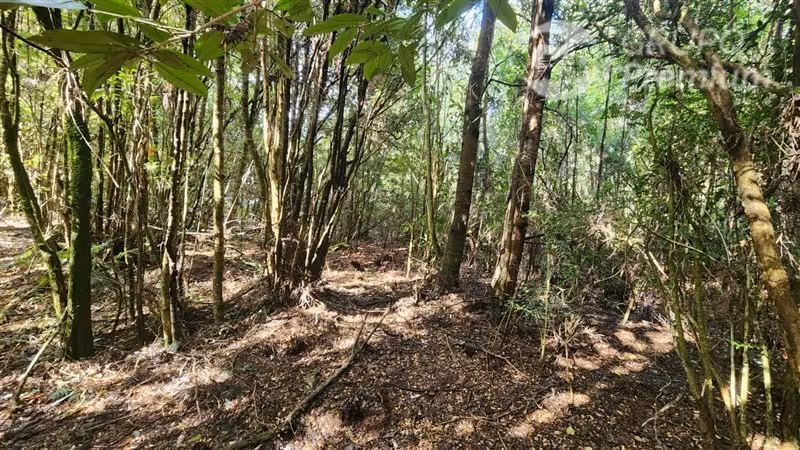 Construye la casa de tus sueños en Parcela en Venta