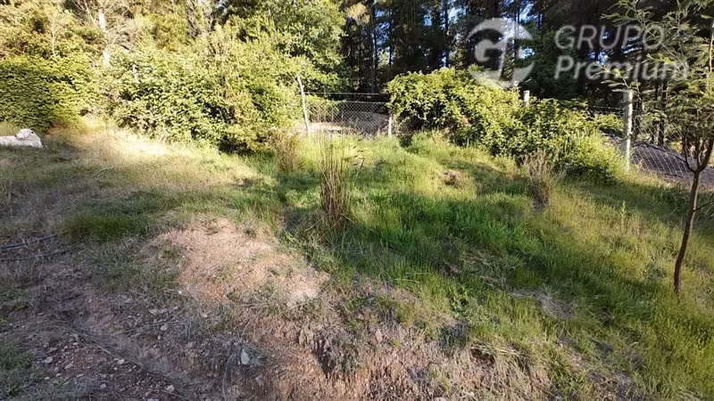 parcela con casa en Lomas de Vaquez Longavi