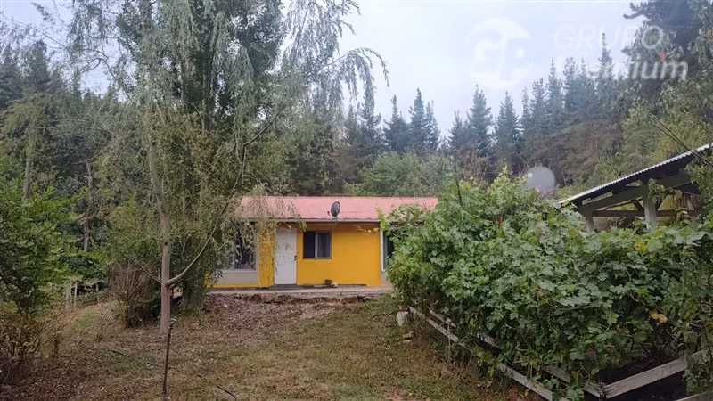 parcela con casa en Lomas de Vaquez Longavi