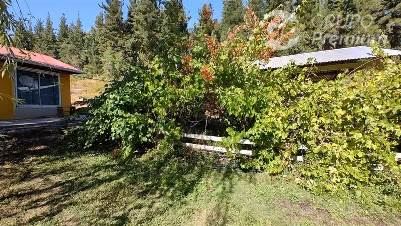 parcela con casa en Lomas de Vaquez Longavi