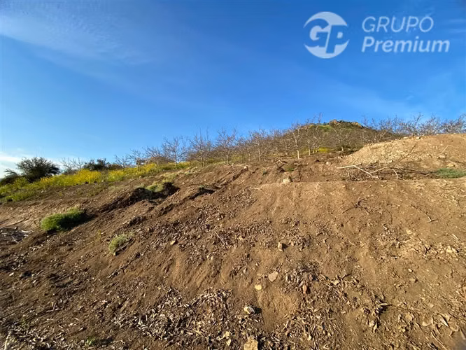 Parcela agrícola en venta fundo talanquen venta en Colina - Imagen 2
