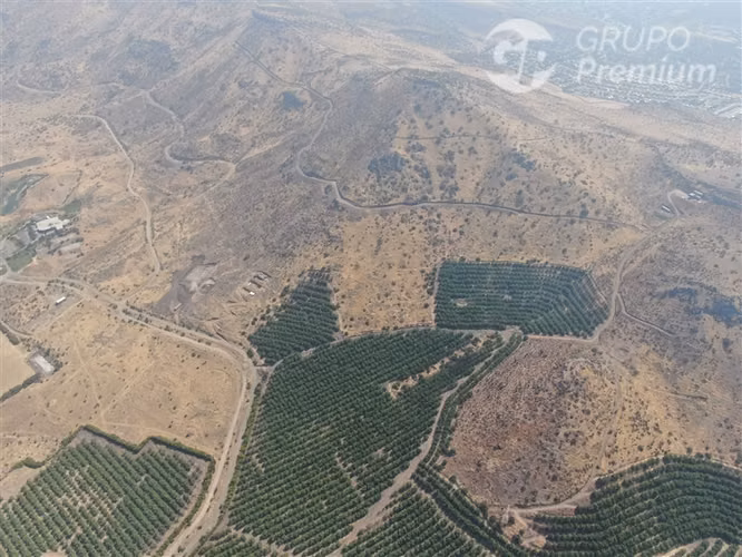 Parcela agrícola en venta fundo talanquen venta en Colina