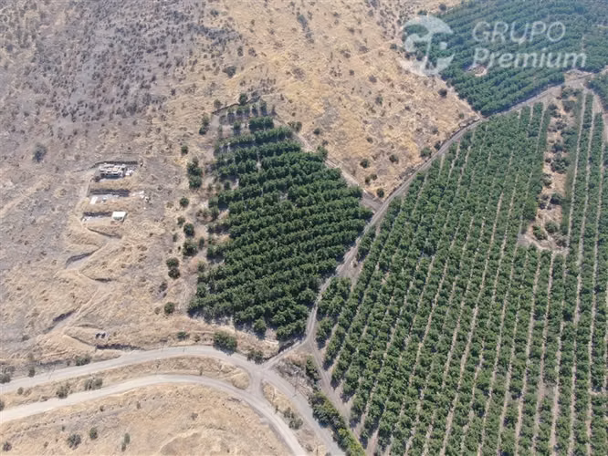 Parcela agrícola en venta fundo talanquen venta en Colina
