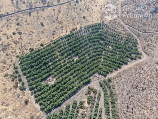 Parcela agrícola en venta fundo talanquen venta en Colina - Imagen 3