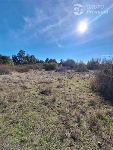 Terreno Agrícola en arriendo en Laja