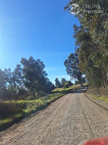 Terreno Agrícola en arriendo en Laja