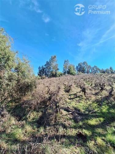 Terreno Agrícola en arriendo en Laja