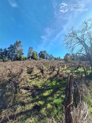 Terreno Agrícola en arriendo en Laja