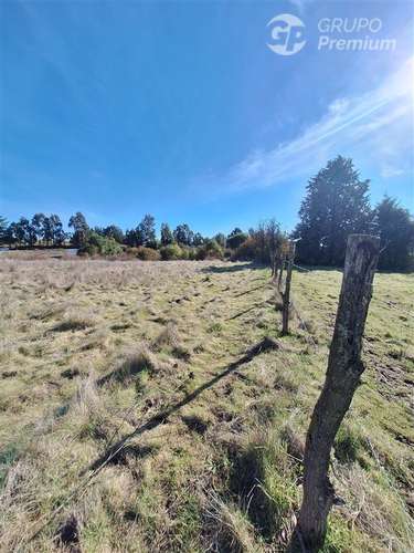 Terreno Agrícola en arriendo en Laja