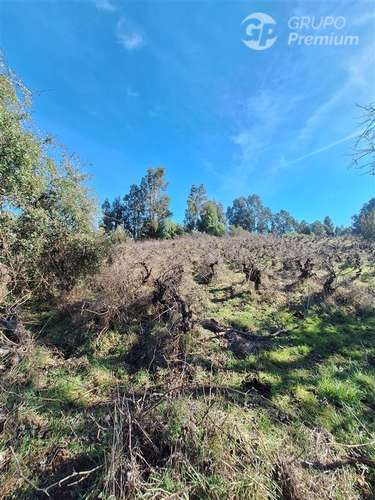 Terreno Agrícola en arriendo en Laja