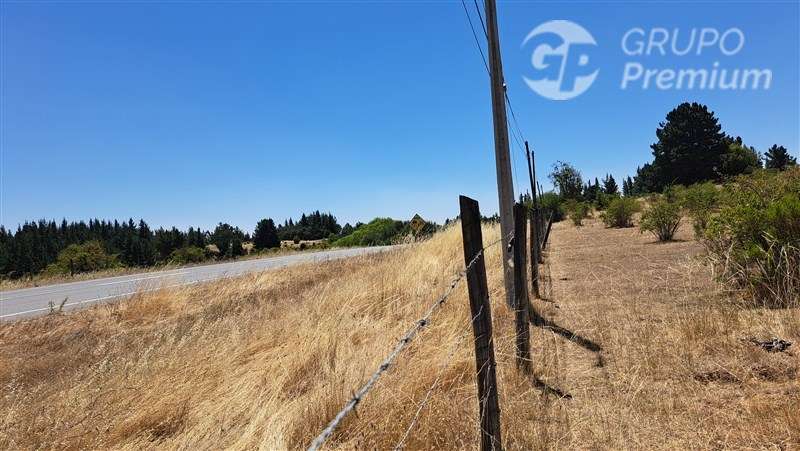 Parcela en venta sector Santa Ana comuna de Laja. Ruta Q34.