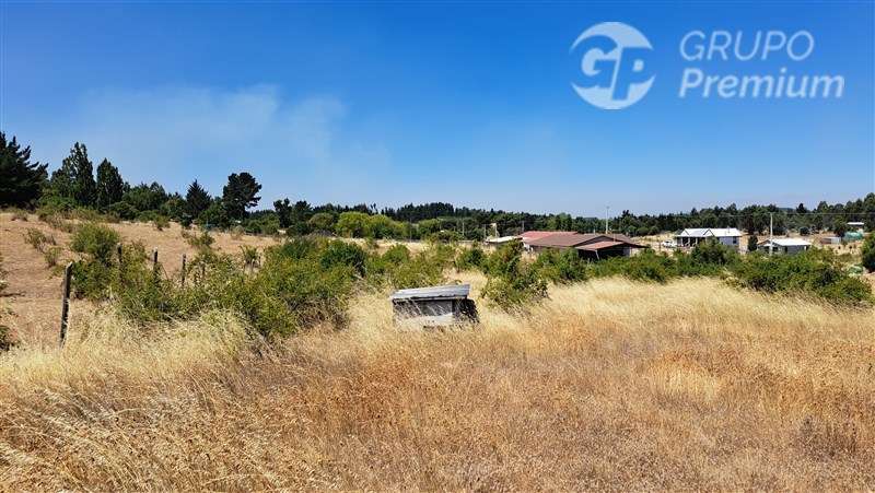 Parcela en venta sector Santa Ana comuna de Laja. Ruta Q34.