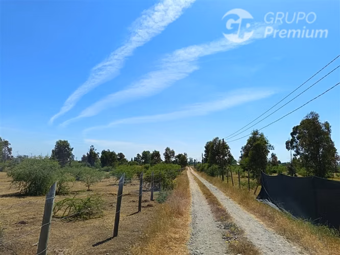 Parcelas 5000 m2 en venta Sector Retiro Camino a Villaseca.