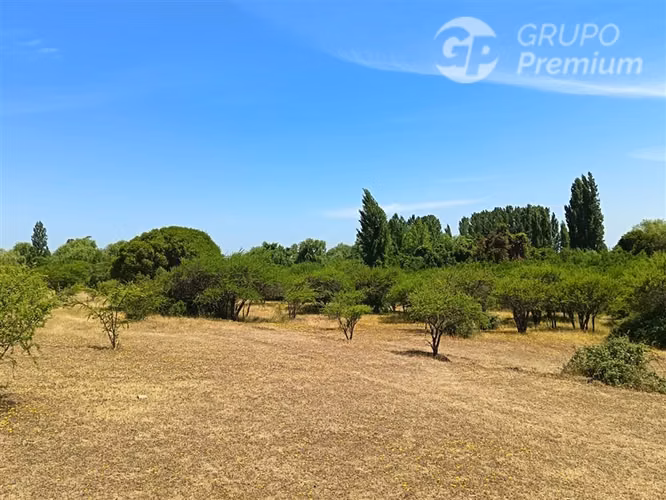 Parcelas 5000 m2 en venta Sector Retiro Camino a Villaseca.