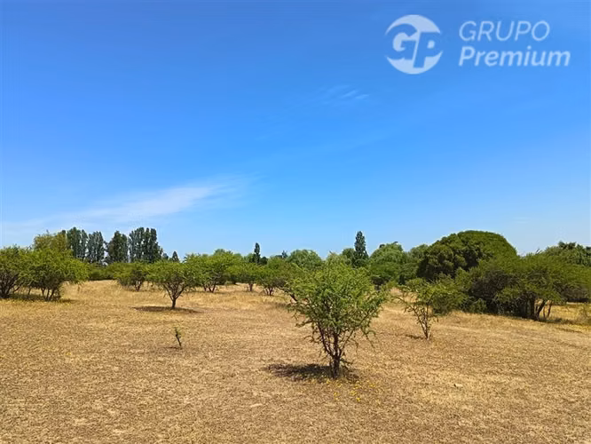 Parcelas 5000 m2 en venta Sector Retiro Camino a Villaseca.