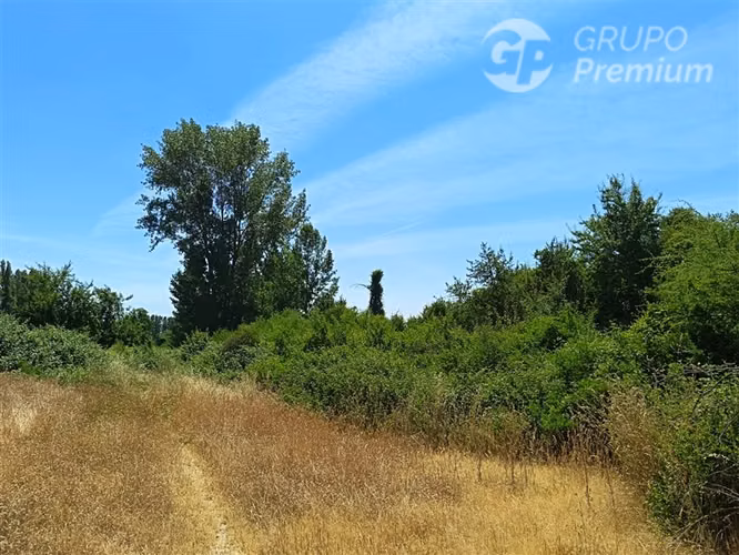 Parcelas 5000 m2 en venta Sector Retiro Camino a Villaseca.