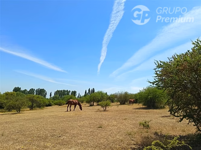 Parcelas 5000 m2 en venta Sector Retiro Camino a Villaseca.