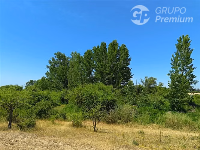 Parcelas 5000 m2 en venta Sector Retiro Camino a Villaseca.