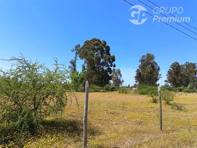 Parcelas 5000 m2 en venta Sector Retiro Camino a Villaseca.