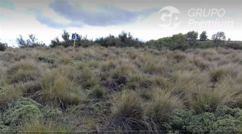 Gran oportunidad de adquirir Parcela en venta en Lonquimay