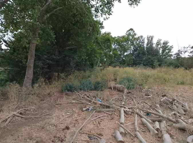 Parcela en venta en Melipilla, Bosques Santa Cecilia - Imagen 10