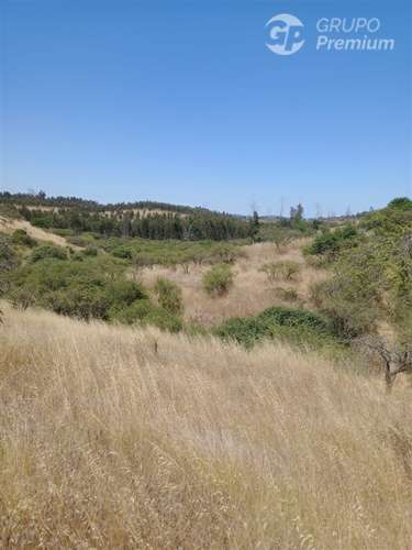 Venta de Parcela 10,2 Htas. en Ruta a Rapel de Navidad