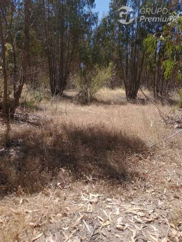 Venta de Parcela 10,2 Htas. en Ruta a Rapel de Navidad