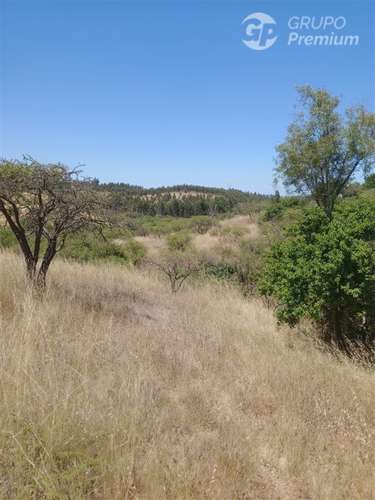 Venta de Parcela 10,2 Htas. en Ruta a Rapel de Navidad